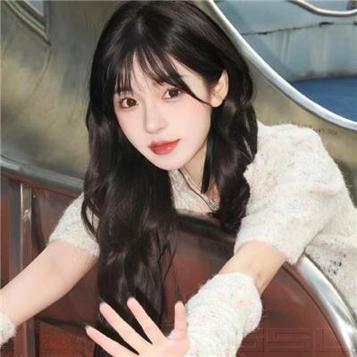 枪手佳人流浪客